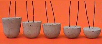 Click here to return to the RMCSPL home page